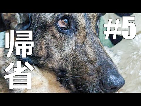 【帰省Part5】渋谷在住36歳独身一人暮らしの奈良4泊5日【地元】 - トーマスガジェマガ