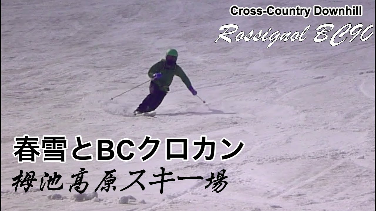 BCクロカン板（5本） | テレマークスキー用具箱