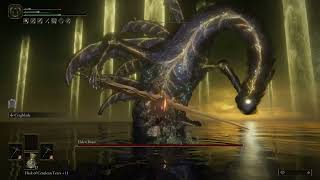 Elden Ring - Radagon / Elden Beast / Dual Pickaxe / Cragblade / No Damage / Level 1 / Patch 1.08