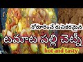Hot and tasty village cooking tomato palli chutney village cooking channel sabithas kitchens