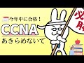 【#CCNA 】あきらめないで！今年中にCCNA取得しよう