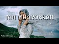 Lagu Minang Terbaru || Elsa Pitaloka Jan Diharokkan