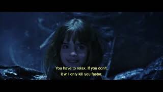 Harry Potter And The Sorcerers Stone Through The Trapdoor