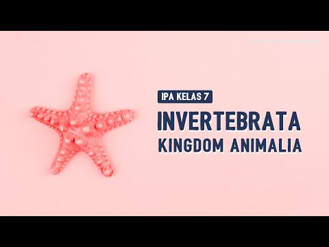 INVERTEBRATA | KLASIFIKASI MAHKLUK HIDUP | KINGDOM ANIMALIA