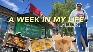 VLOG 37 | Running errands, weekly groceries, movie night w/ hubby and plant update