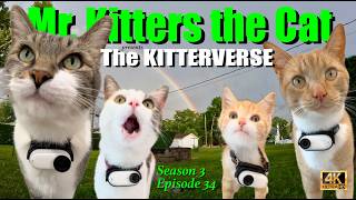 Mr. Kitters Kitterverse! Weekend Warriors! MaMOW! 📣🐈 Season 3 Episode 34