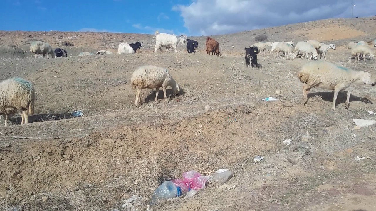 Mahmutlar köyü kerem dogan