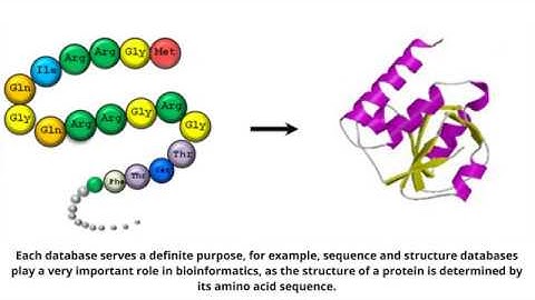 Video 4: Protein Databases
