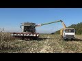 Комбайн Claas Lexion 770 убирает кукурузу на зерно