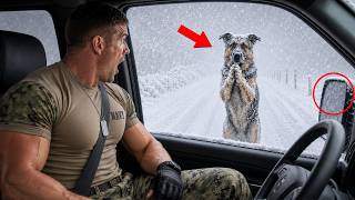 K9 German Shepherd Recognized His SEAL After 3 Years—Then Collapsed in Snow