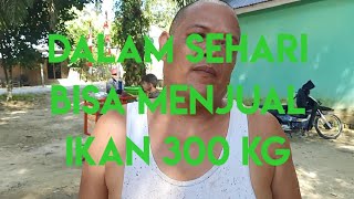 SYAIFUL BAKHRI : DALAM SEHARI MENJUAL IKAN 300 KG DI KOLAM NYA SENDIRI