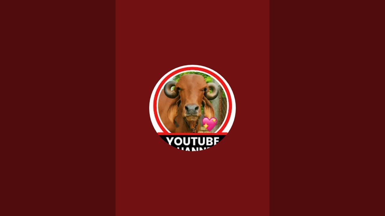 JS Dairy Farm  લાઇવ છે!