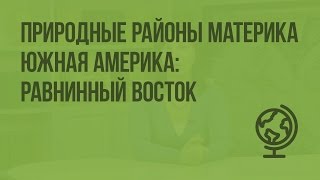 Природные районы материка Южная Америка: равнинный Восток. Видеоурок по географии 7 класс