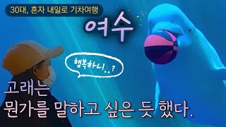 다 죽고 혼자 남은 흰 고래 벨루가🐬 -퇴사, 30대 혼자 내일로 기차여행🚂 #12 아쿠아플라넷 여수 아쿠아리움