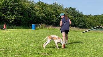 Two Step Pattern Game from Control Unleashed