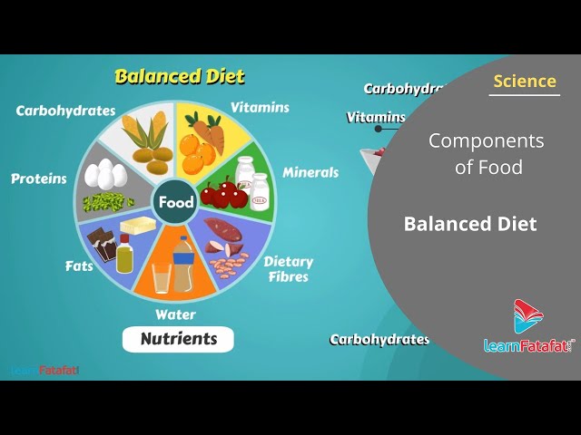 Balanced diet — lesson. Science State Board, Class 6.