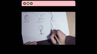 Creating Three-Dimensional Illusion By Using Light And Shadows