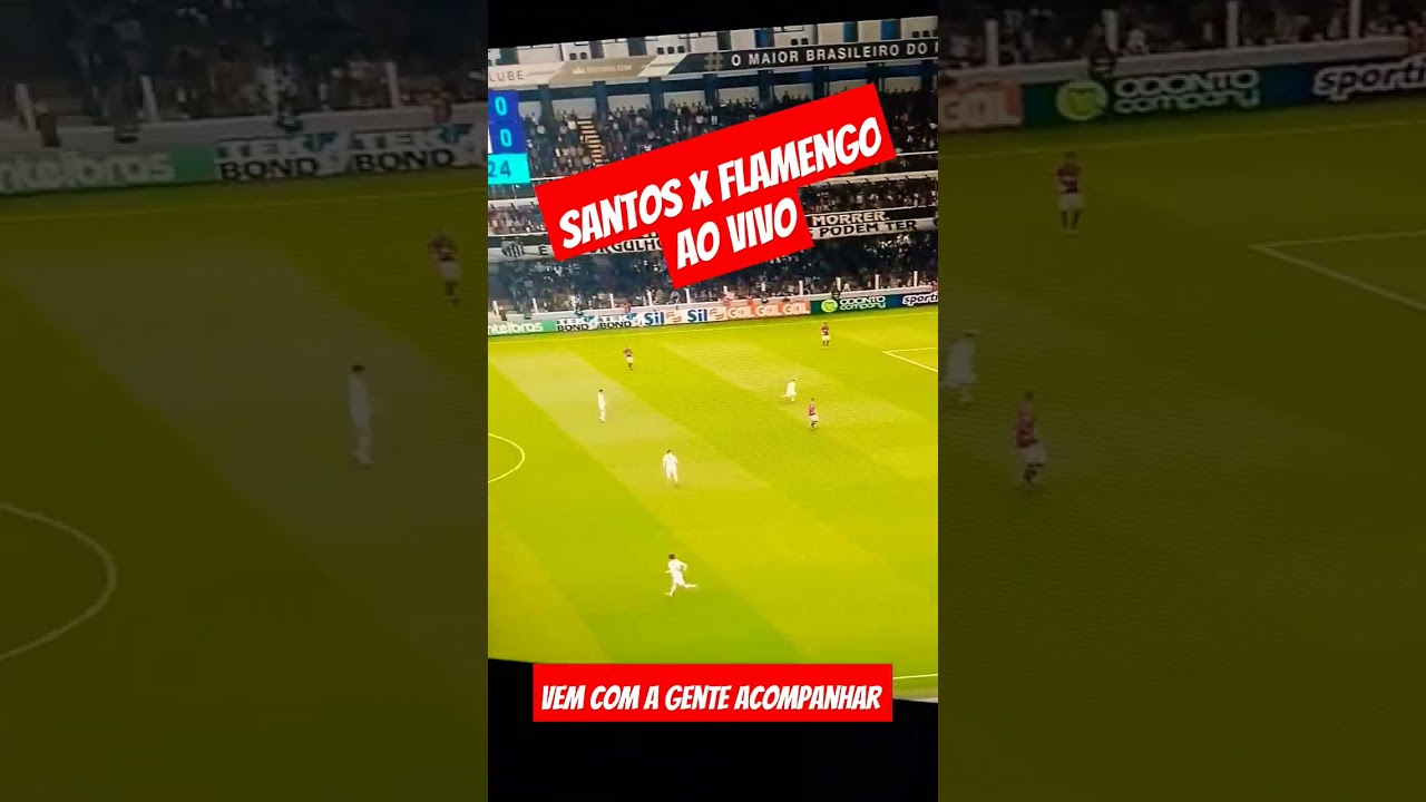 Santos 2 x 3 Flamengo - 25/06/2023 - Brasileirão 