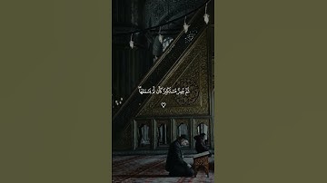اكتب شئ تؤجر عليه ♥️🌿 #قران_كريم #quran #المصحف #اكسبلور #تلاوه #قرآن #تلاوة_خاشعة