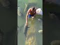 Who can tell me, do you all feed fish like this?#koi #fish #pets #indian