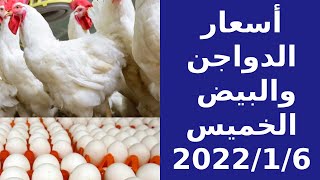 أسعار الدواجن اليوم 6-1-2022 فى مصر/أسعار الفراخ اليوم فى مصر/ أسعار السوق/سعر كرتونة البيض