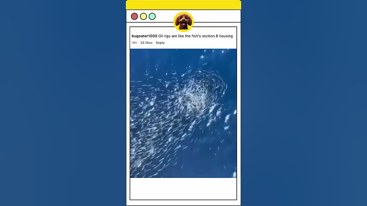 Don’t Throw An Apple From An Oil Rig 😱