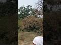 GURUDUWARA DHAKKI SAHIB JI TAPOBAN PURATAN GHAR # IN JUNGLE TAPASIYA DON BY BABA JI 🙏🙏🙏🙏