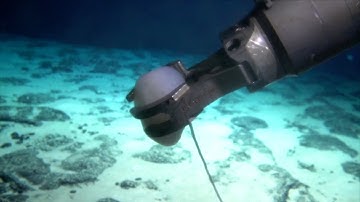 Chinese research vessel releases footages of deep-sea mineral, bio-resources