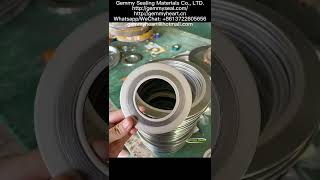 spiral wound gasket guide ring spiral wound gasket graphite filled spiral wound gasket high pressure