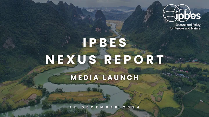 Nexus Assessment Report Launch
