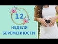 12 Неделя Беременности. Развитие плода и ощущения мамы