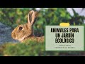 [#Podcast] Animales para un jardín ecológico - Animals for an ecological garden