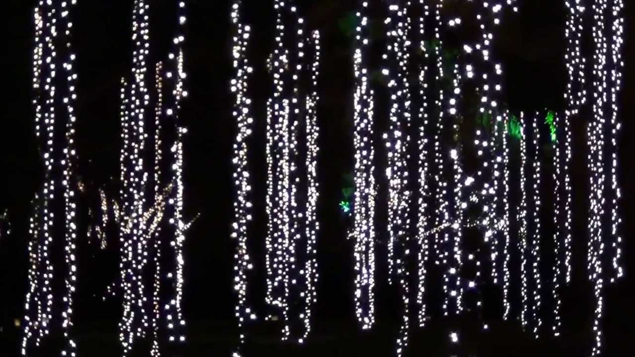 Nights Of A Thousand Candles Brookgreen Gardens From 2013 Youtube