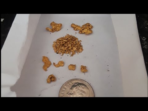 Video NW Georgia Gold Panning - Nuggets - Glade Creek -... - youtube
