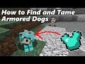 How to Find and Tame ARMORED DOGS in Minecraft How to Find and Tame ARMORED DOGS in Minecraft