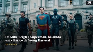 TSF Cinema - De Mike Leigh a Superman, há ainda um clássico de Wong Kar-wai