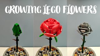 Growing Lego Flowers in Stop Motion