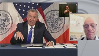 Strategist says de Blasio report damaging