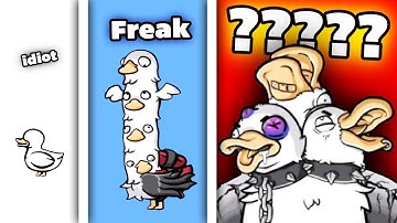 Why Selective Breeding Doesn