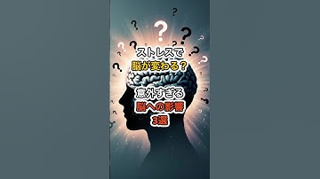 ストレスで脳が変わる？意外すぎる脳への影響3選#shorts #雑学 #生産性 #仕事術 #chatgpt