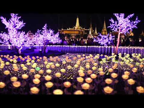 มหรสพสมโภช เนื่องในงานพระราชพิธีบรมราชาภิเษก 22 - 28 พ.ค. 2562 ณ ท้องสนามหลวง