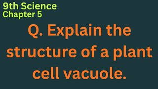 Explain the structure of a plant cell vacuole with a labelled diagram. Why are vacuoles very large.