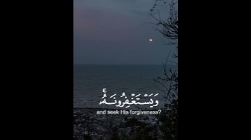 #quran سورة المائدة ♡ الأية ٧٤
