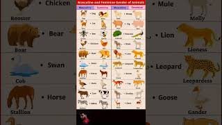 Masculine &amp; Feminine Gender of Animals | English Grammar Shorts #english #shorts