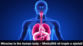 Miracles in the human body ~ Mrekullite ne trupin e njeriut!