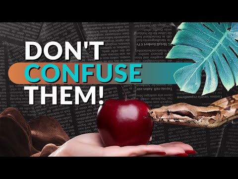 Is there a difference between desire and temptation?
