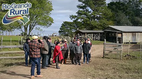 O que favoreceu o desenvolvimento do gado no Rio Grande do Sul?