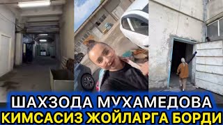 ШАХЗОДА МУХАМЕДОВА АДАШИБ ҚОЛДИМИ