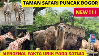 Download lagu TAMAN SAFARI BOGOR INFO BIAYA MASUK Review Terbaru... mp3