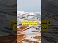 لا يحدث إلى في الجزائر الثلوج تحضن رمال الصحراء الثلج الجزائر جمال